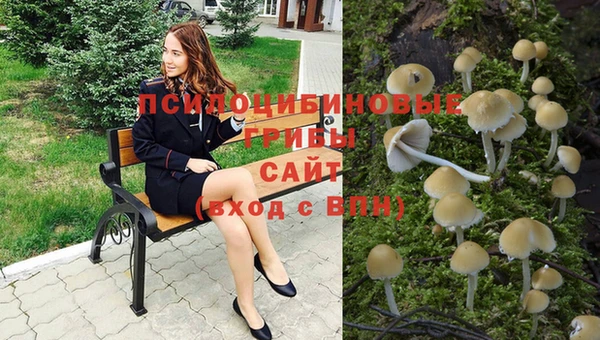 молекула духа Балабаново