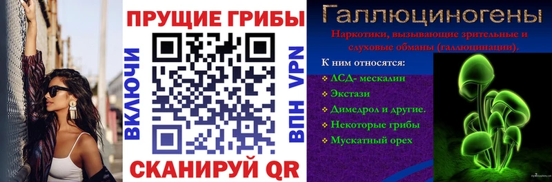 купить наркотик  Краснозаводск  Галлюциногенные грибы Cubensis 